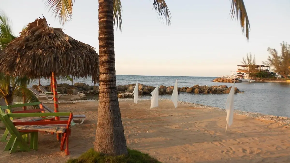 Het kleine strand van het hotel, met een palmboom, een rieten dak en de rotsen